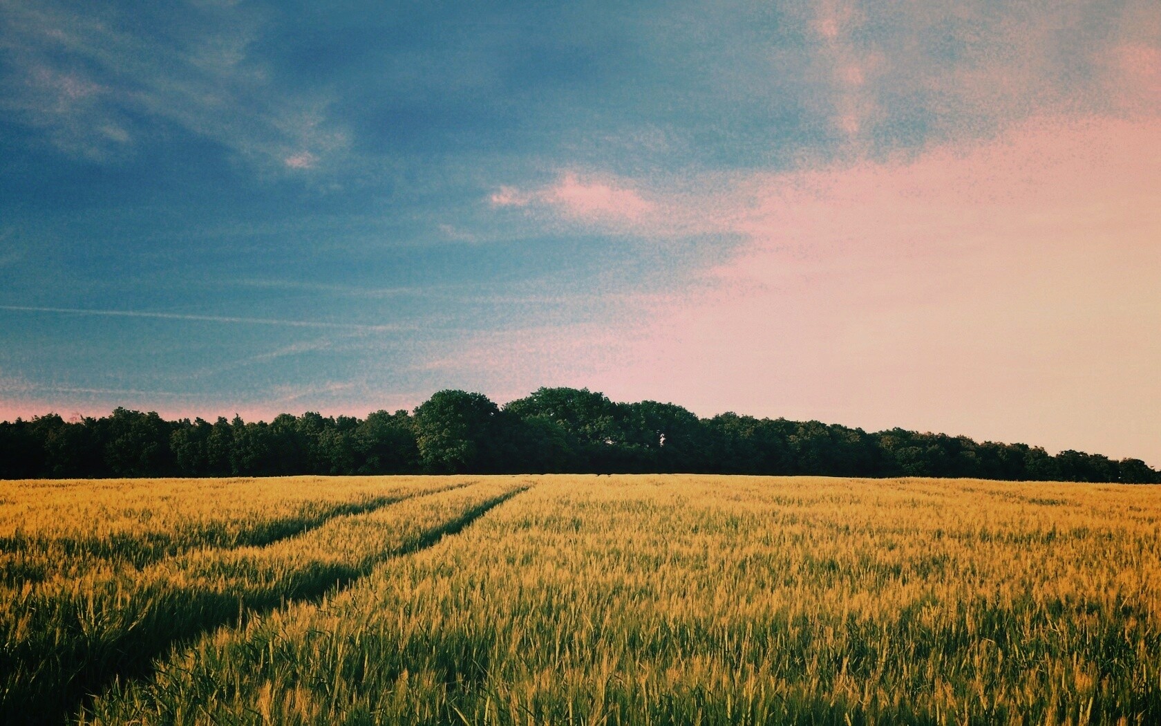 Следы колеи в поле обои
