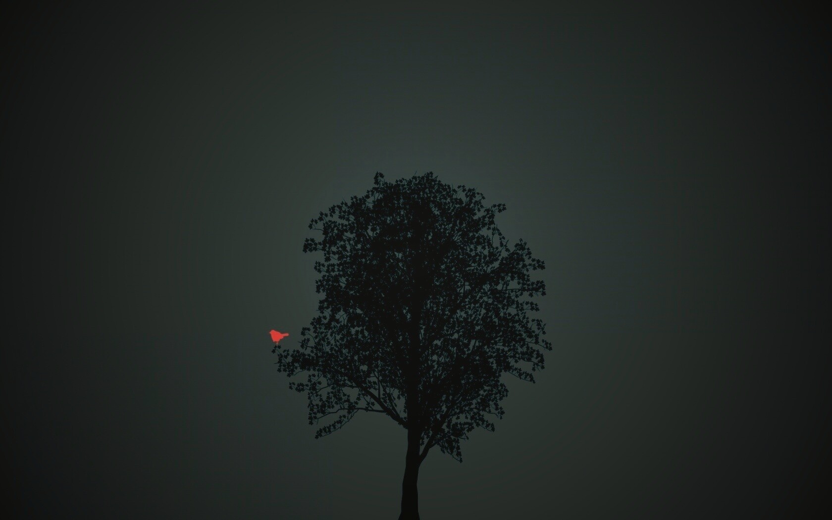 Дерево и птица обои