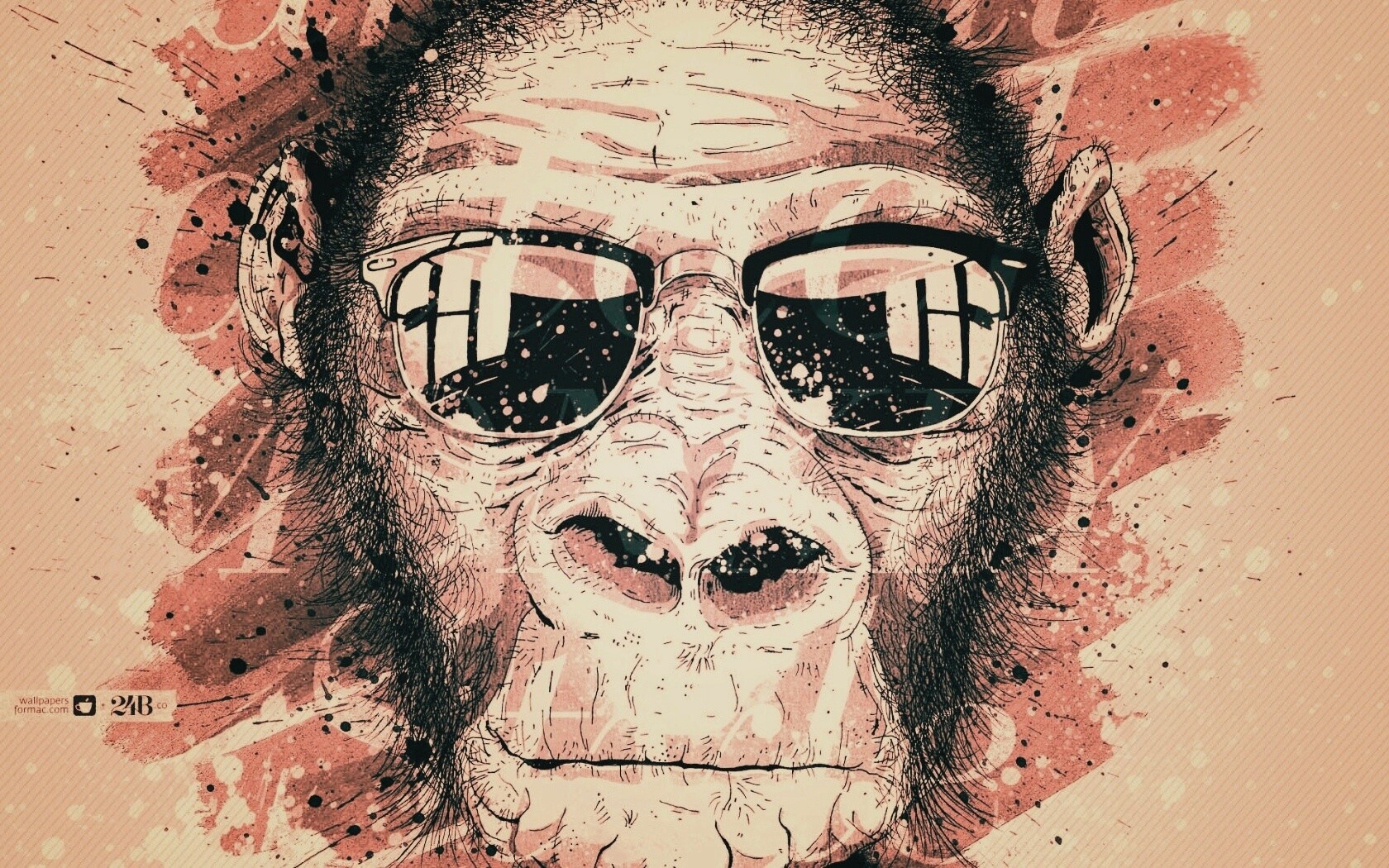 Макака в очках обои