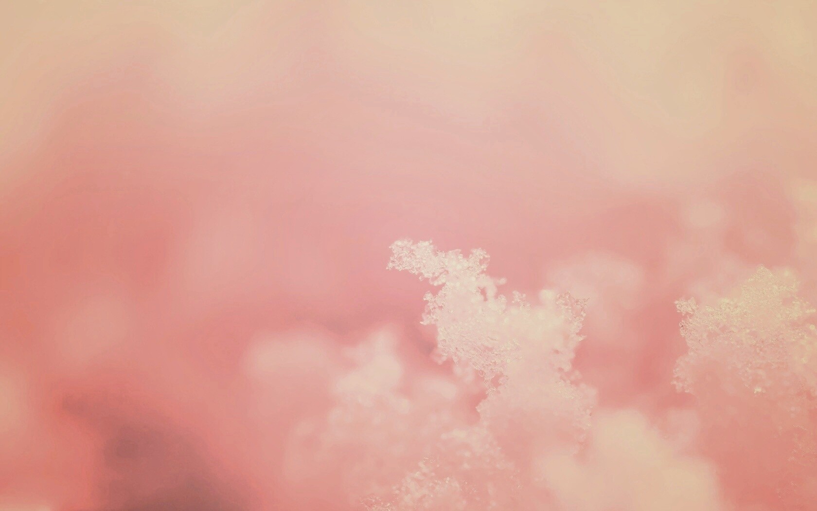 Макро фото снега обои