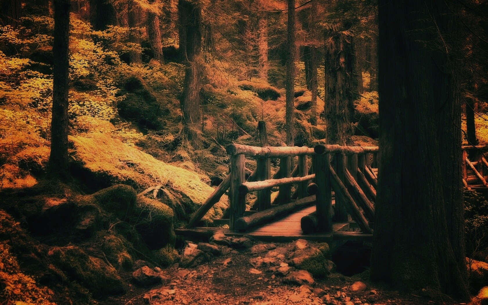 Бревенчатый мост в лесу обои