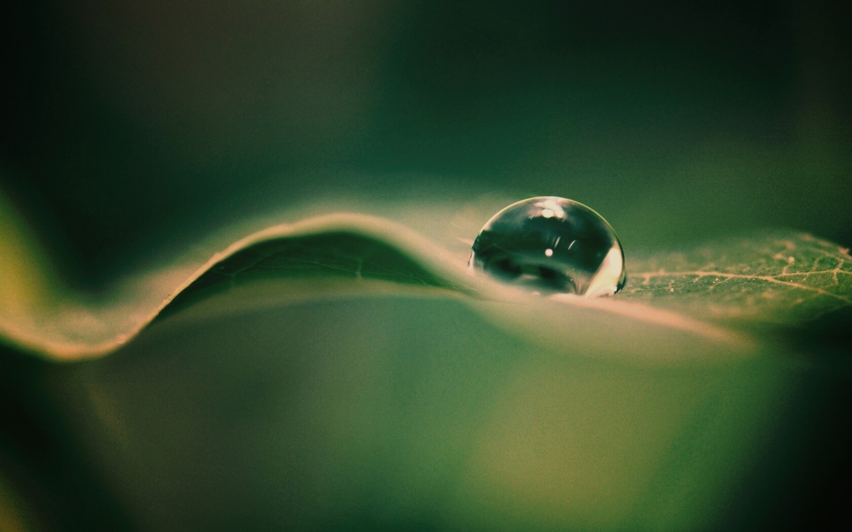 Фотография капли воды в макро обои
