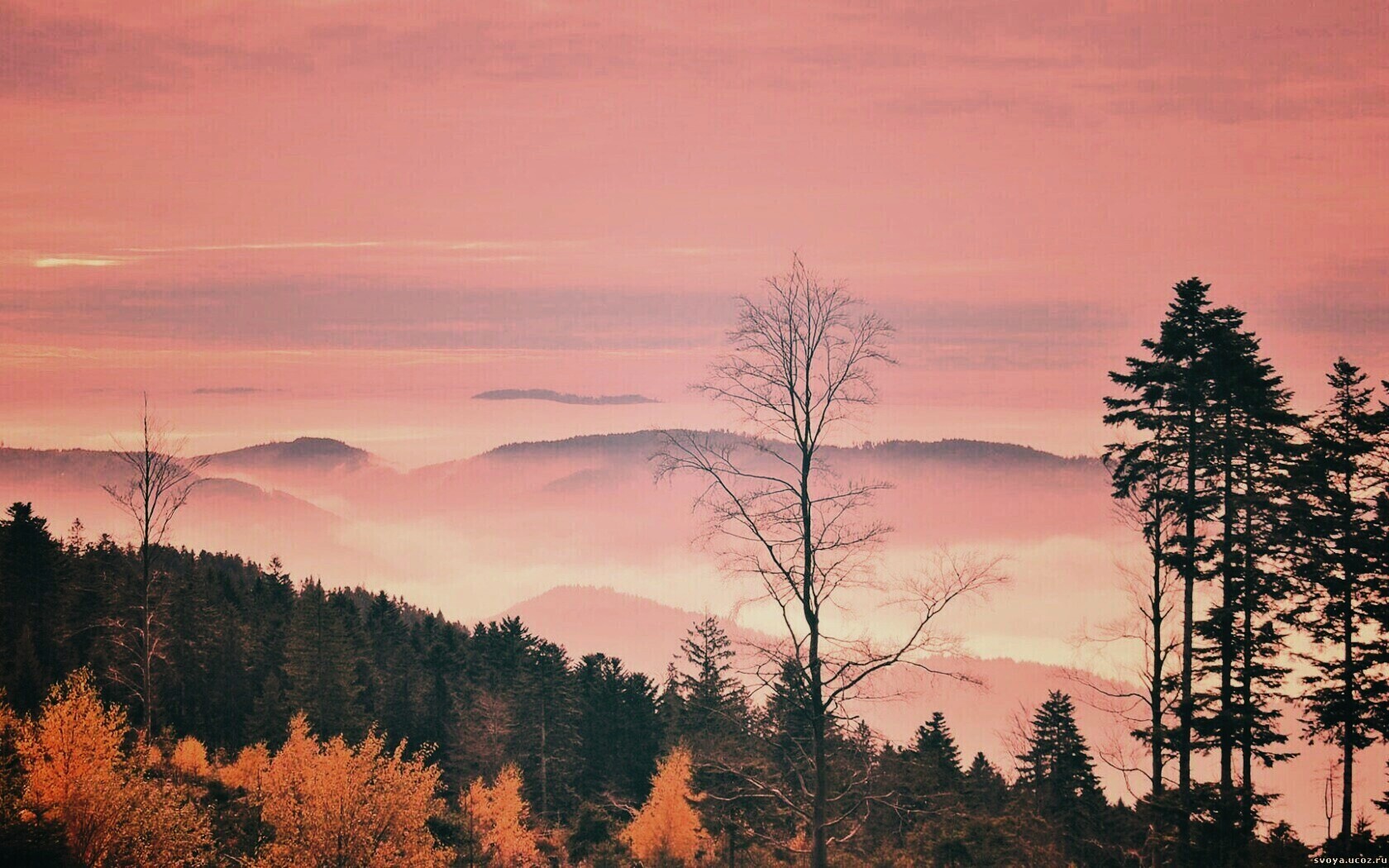 Холмы в тумане обои