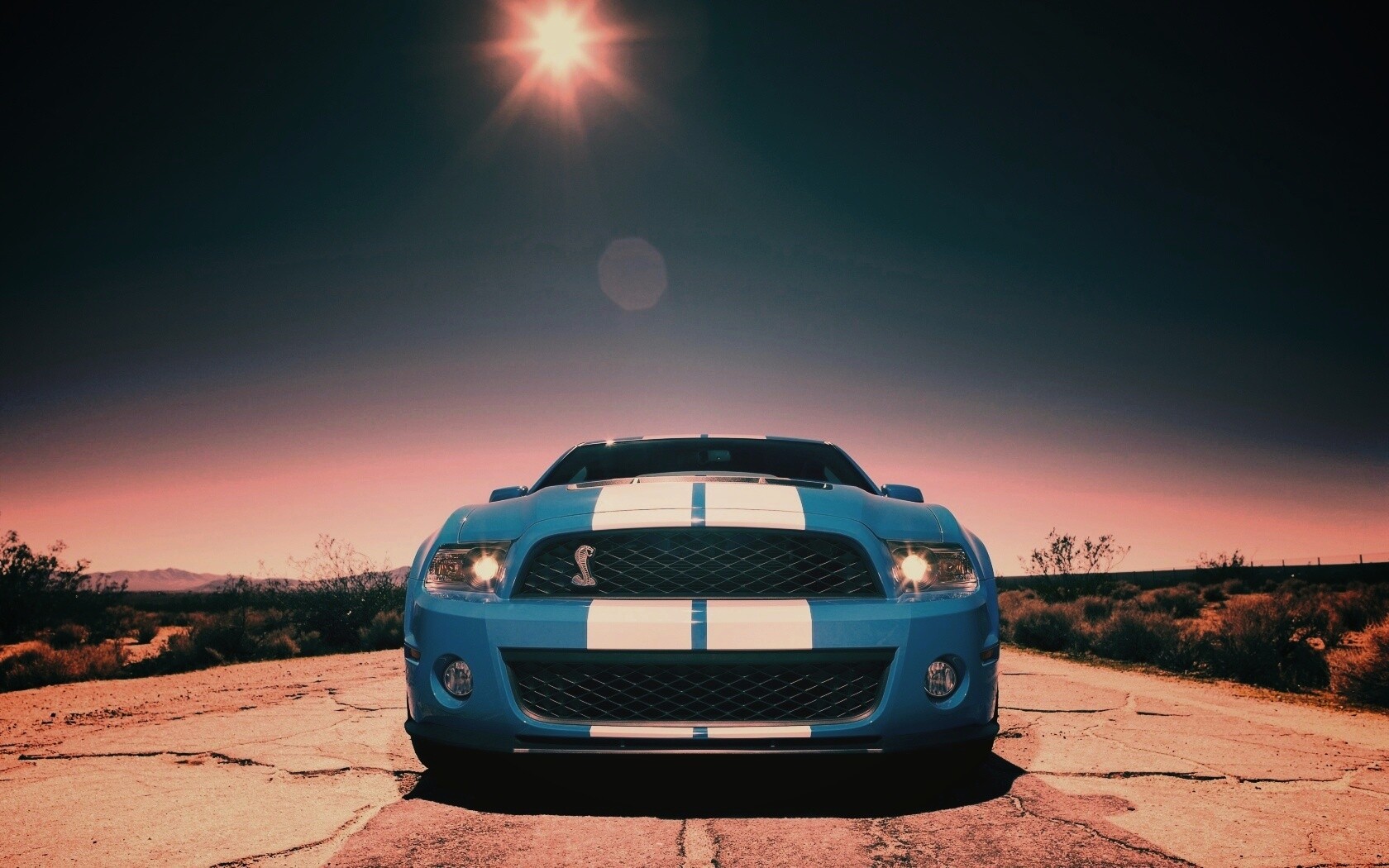 Форд Шелби обои