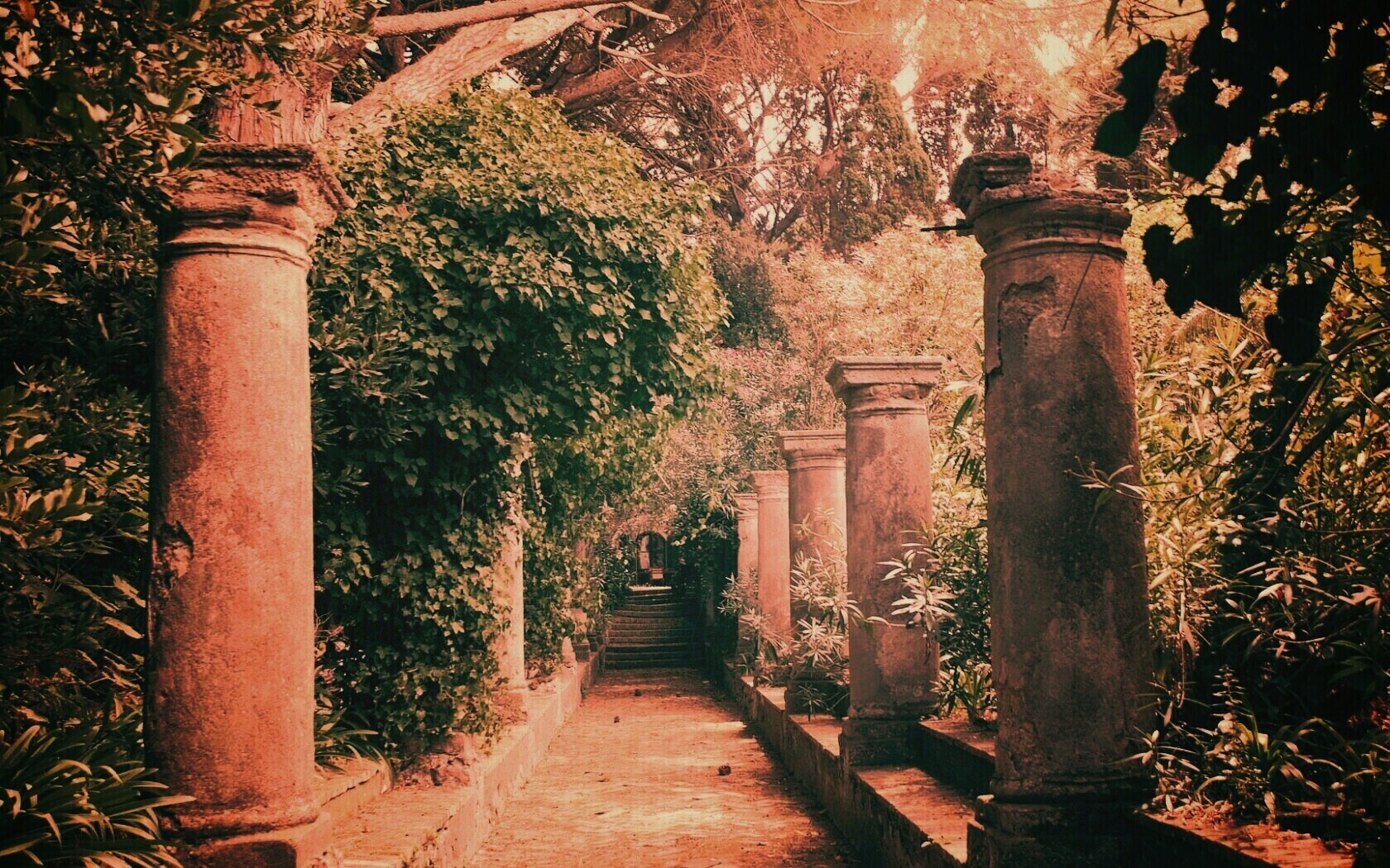 Галерея зимнего сада обои