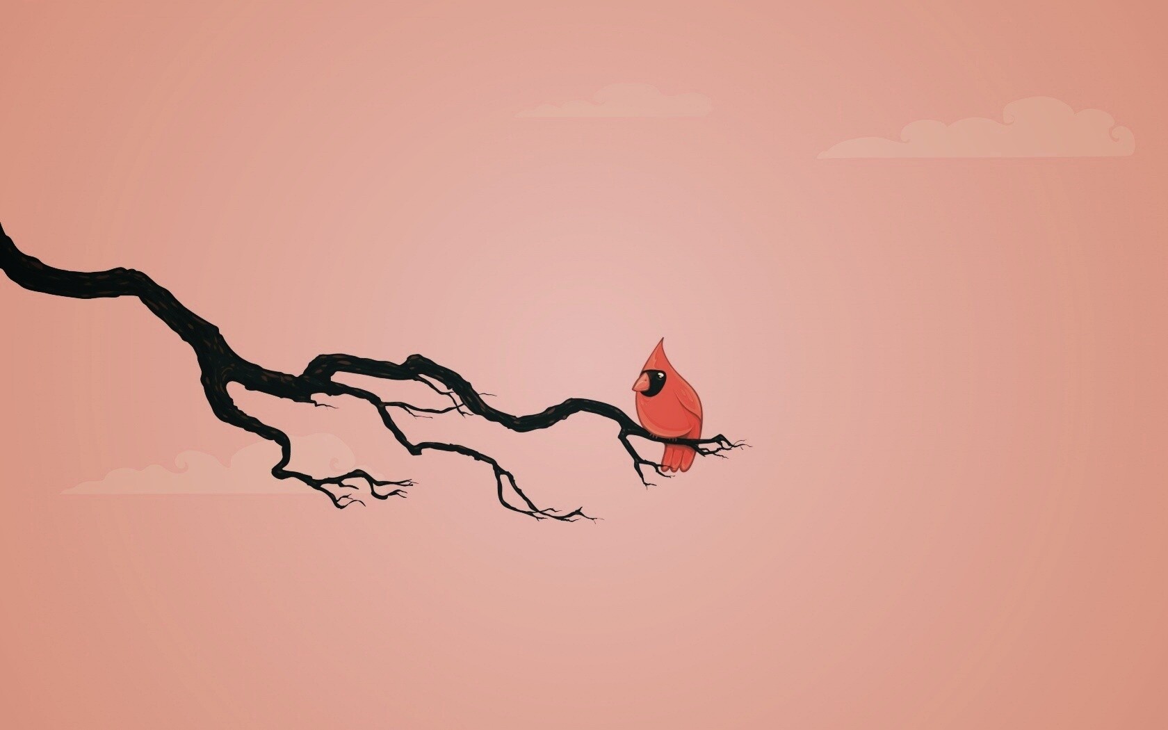 Красная птица на ветке обои