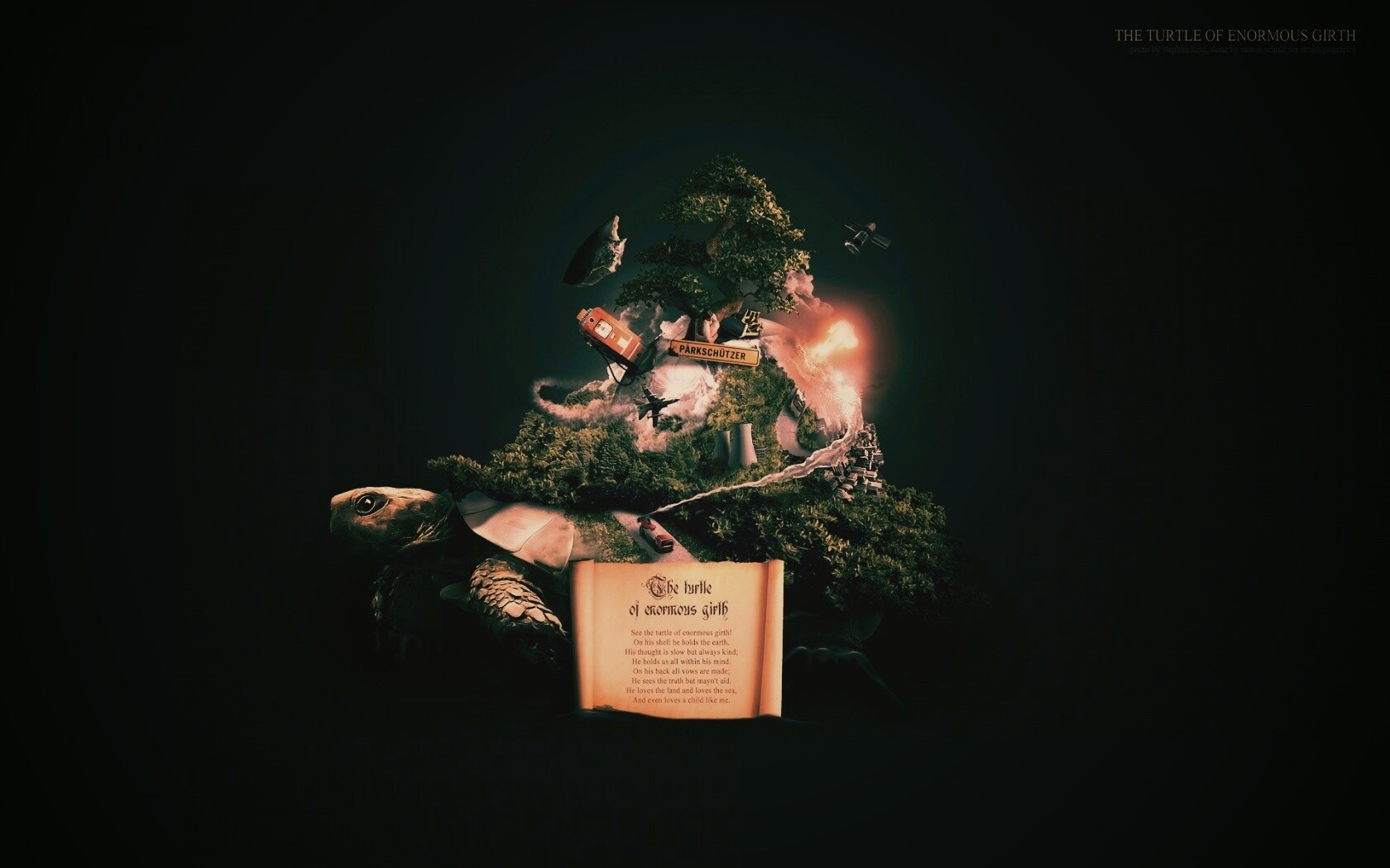 Огромная в обхвате черепаха обои