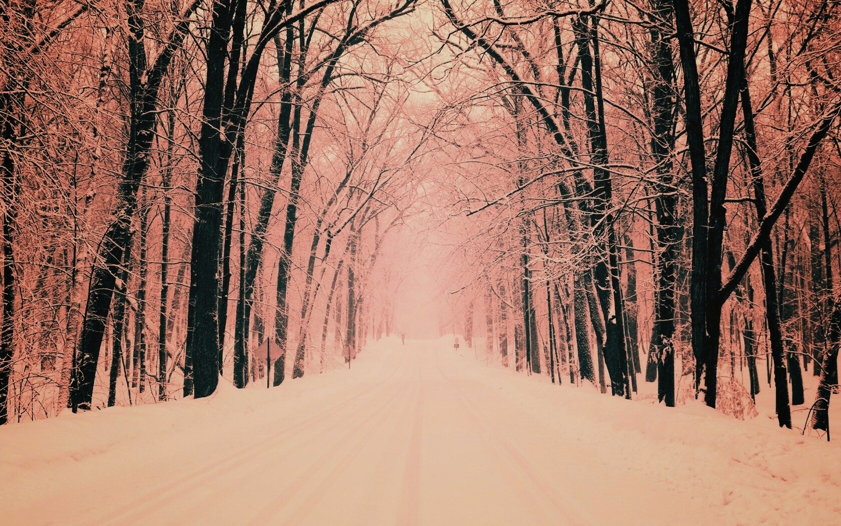 Дорога зимой в парке обои