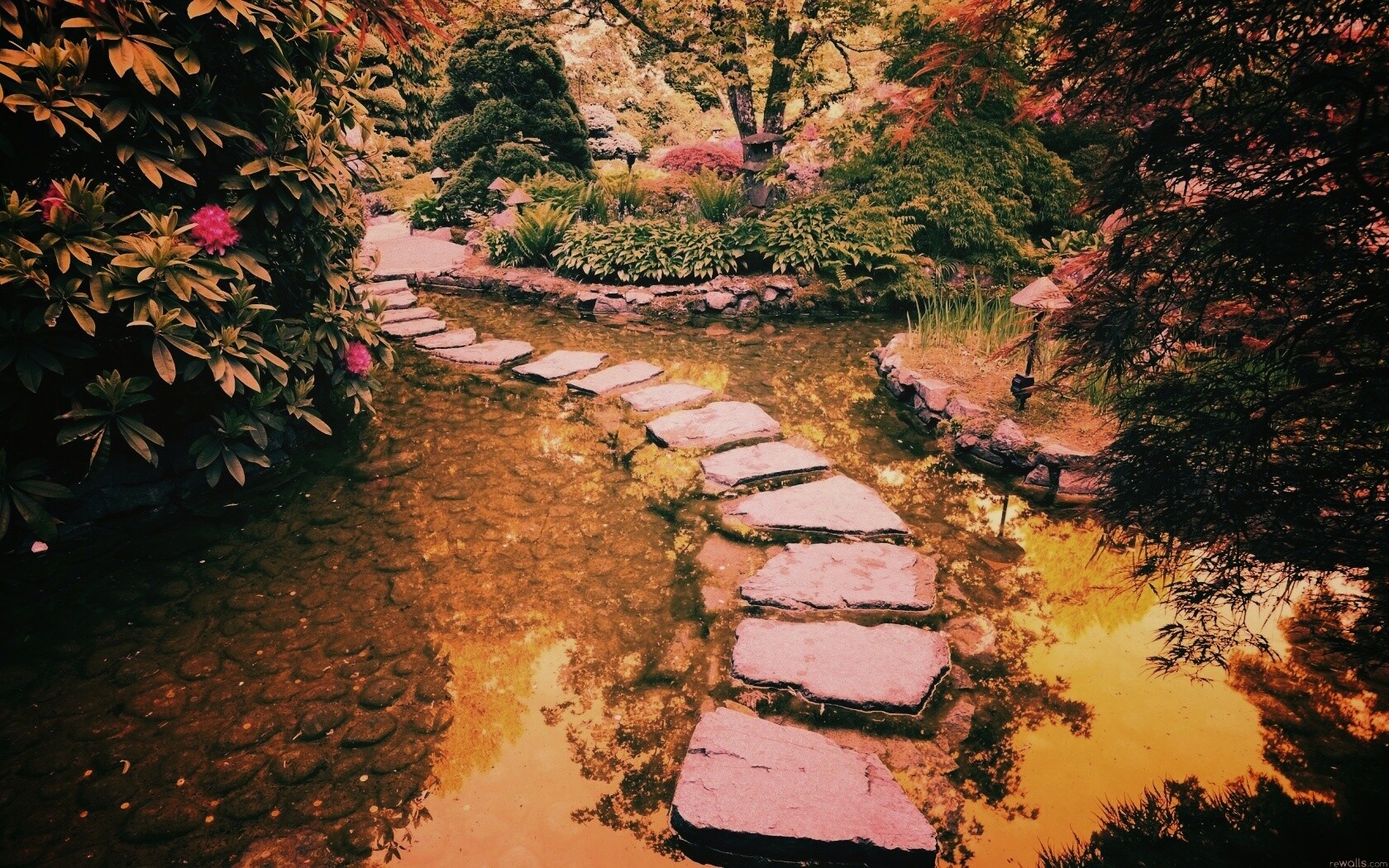 Дорожка через пруд обои