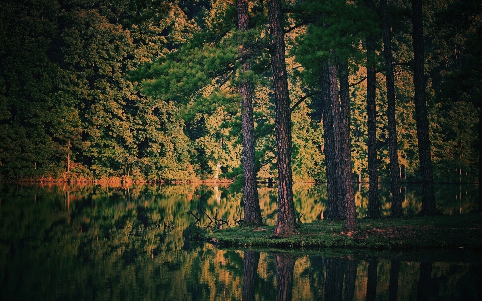 Островок посреди озера обои