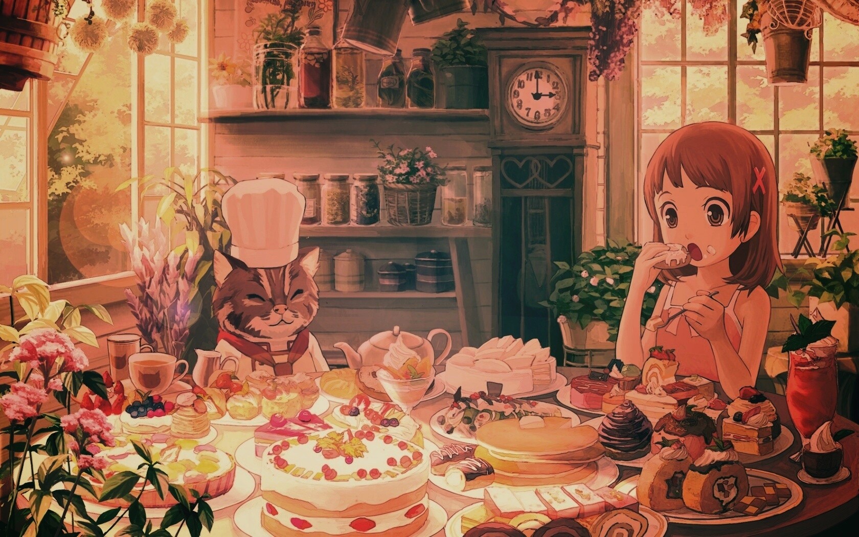 У кота повара обои