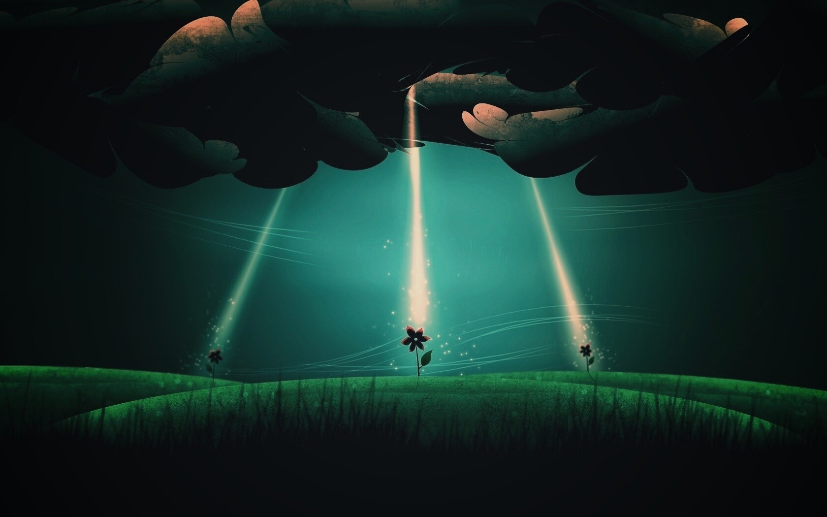 Свет для цветов обои