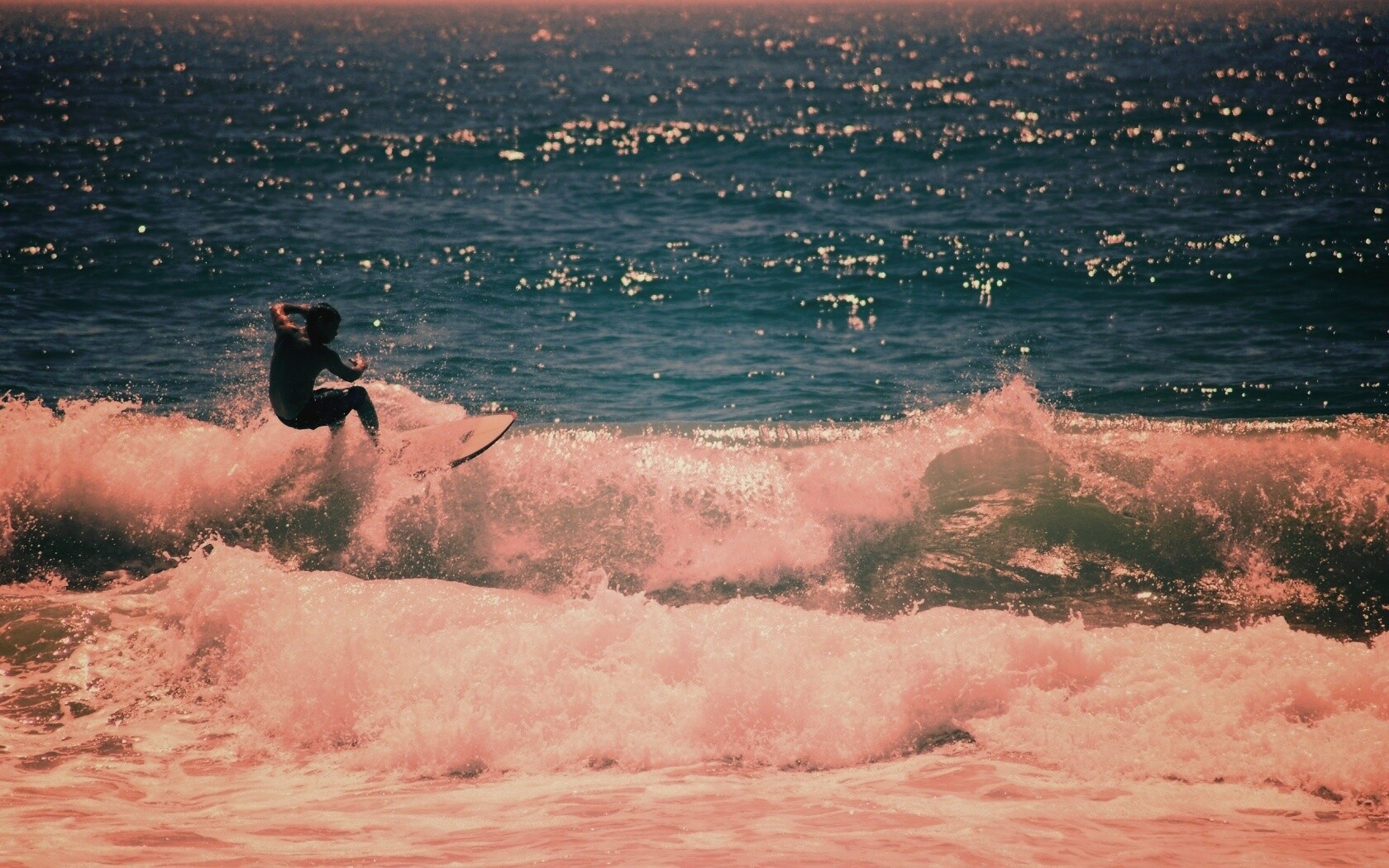 Сёрфенгист поймал волну обои