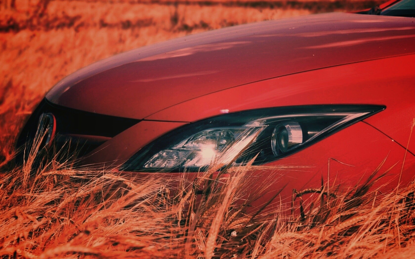 Мазда в пшенице обои