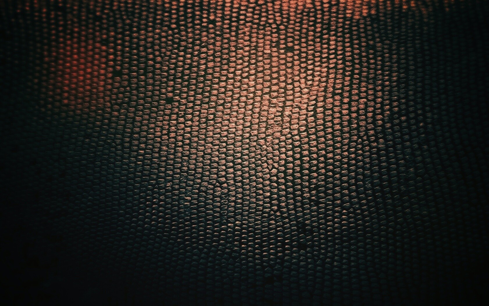 Чешуйчатые обои обои