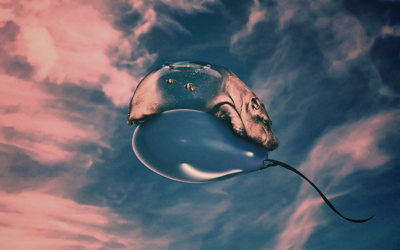 Водяной гиппопотам на шарике обои