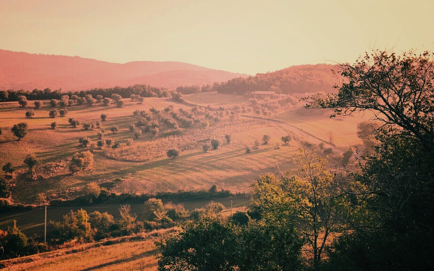 Ферма в долине обои