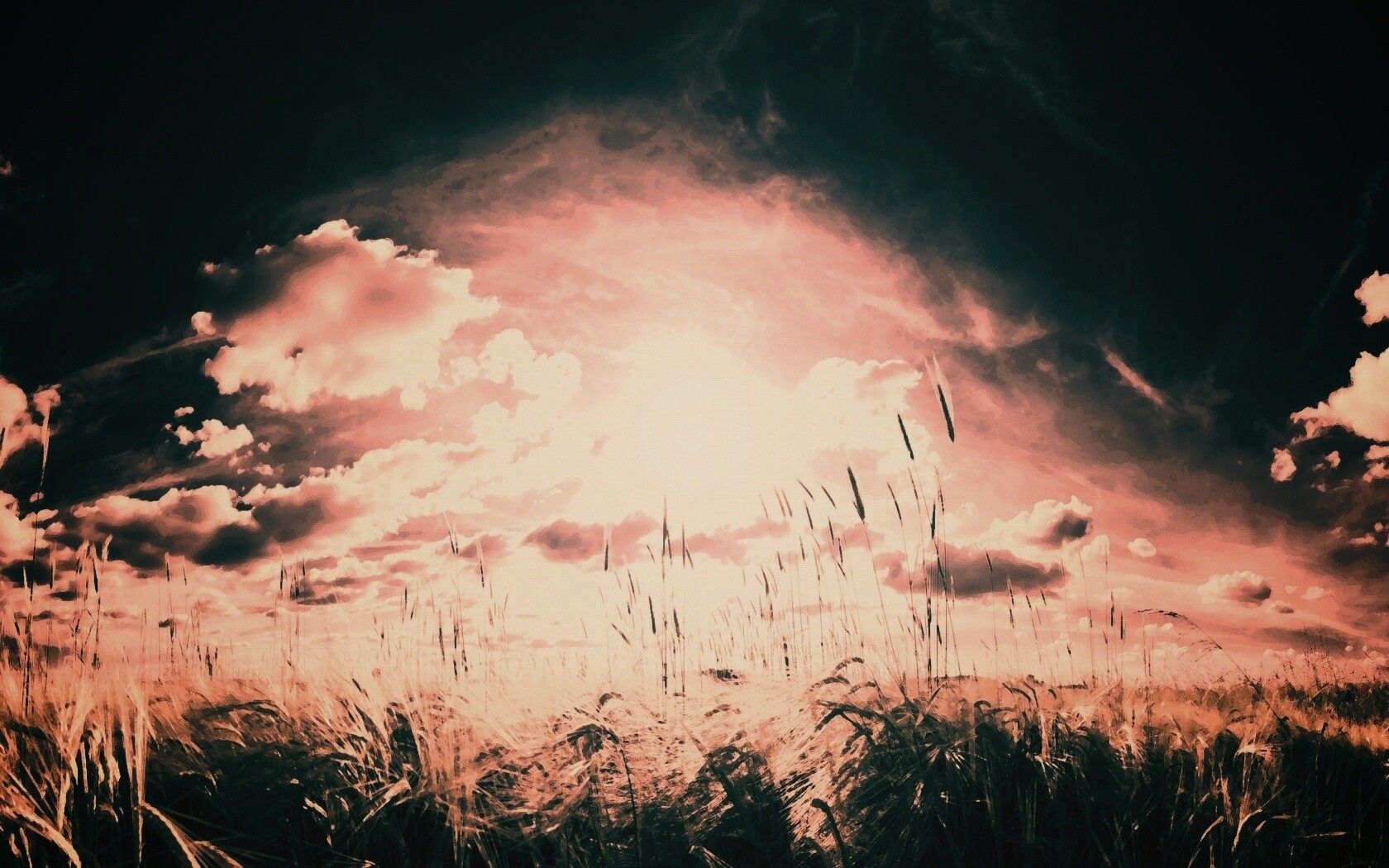 Сюрреалистичная трава обои