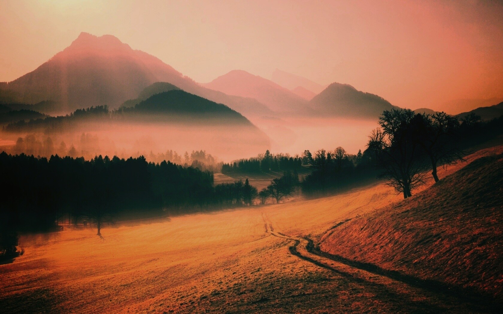 Дорога в туманную долину обои