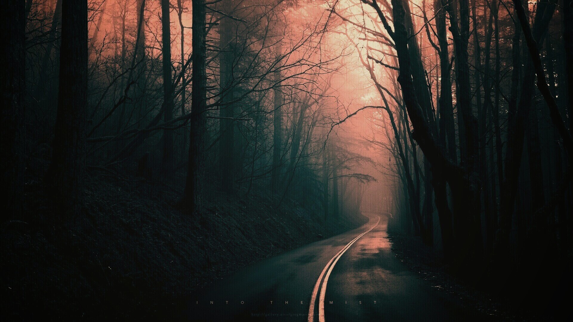 В туман обои