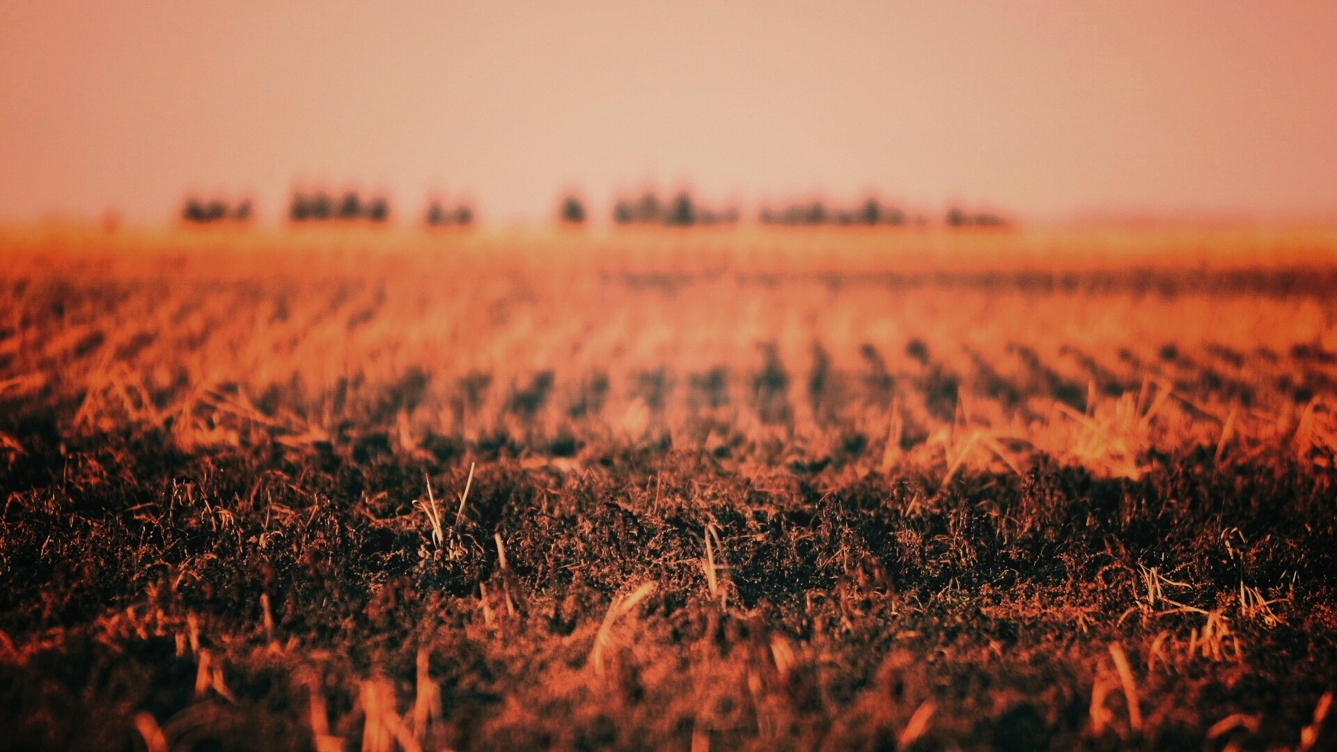 Поле перед вспашкой обои