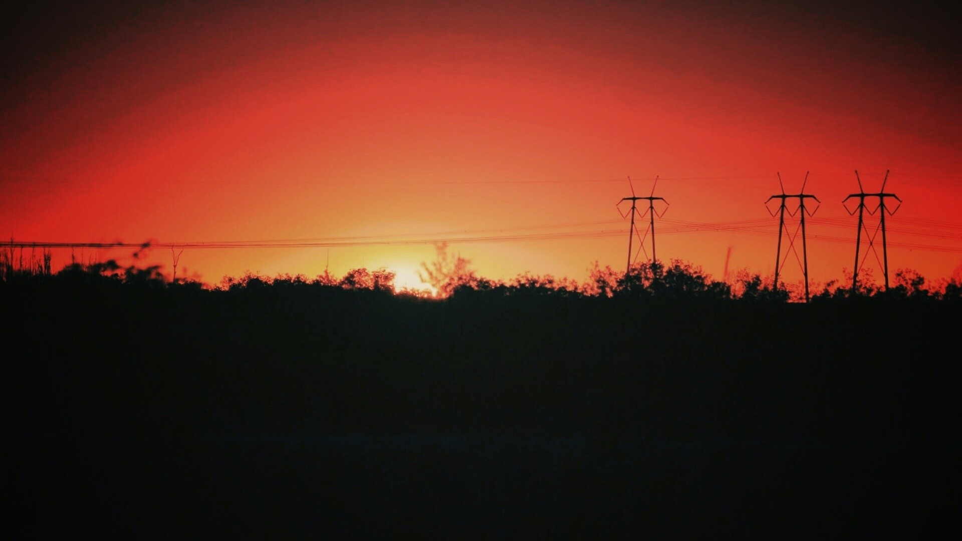 Закат за лесом обои