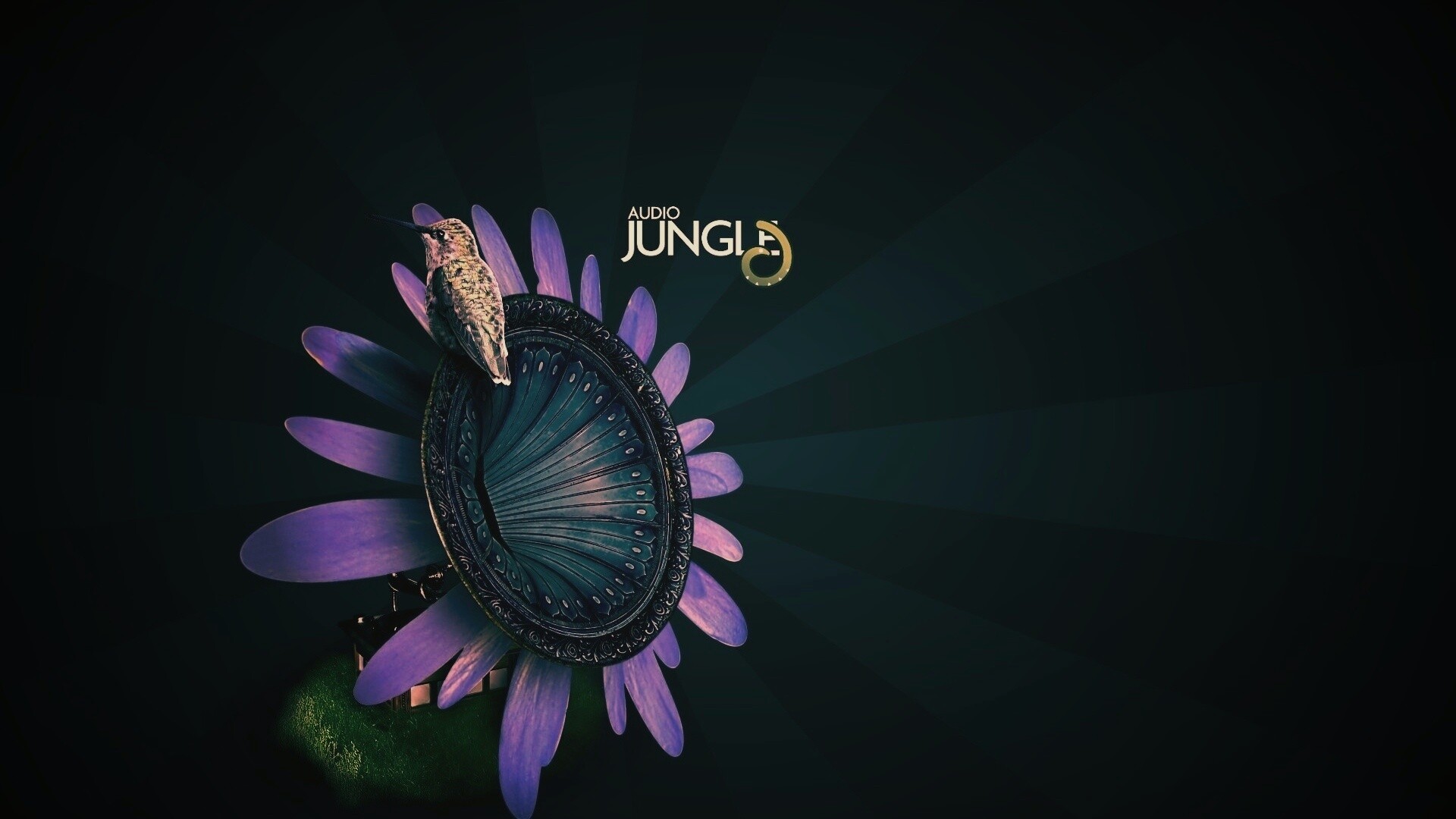 Звуки джунглей обои