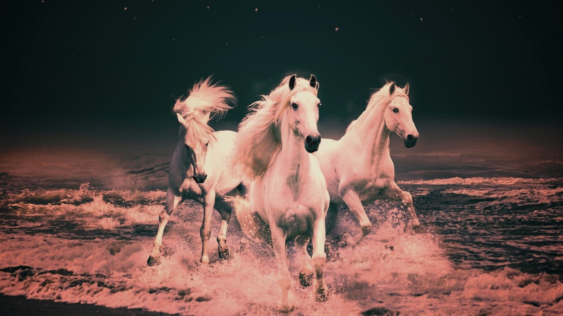 Тройка конец в море обои