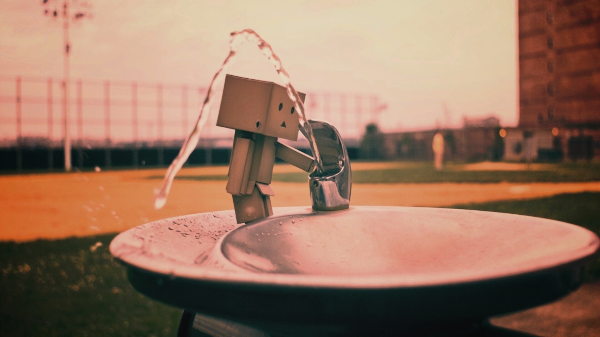 Дандо пьет в воду из фонтанчика обои