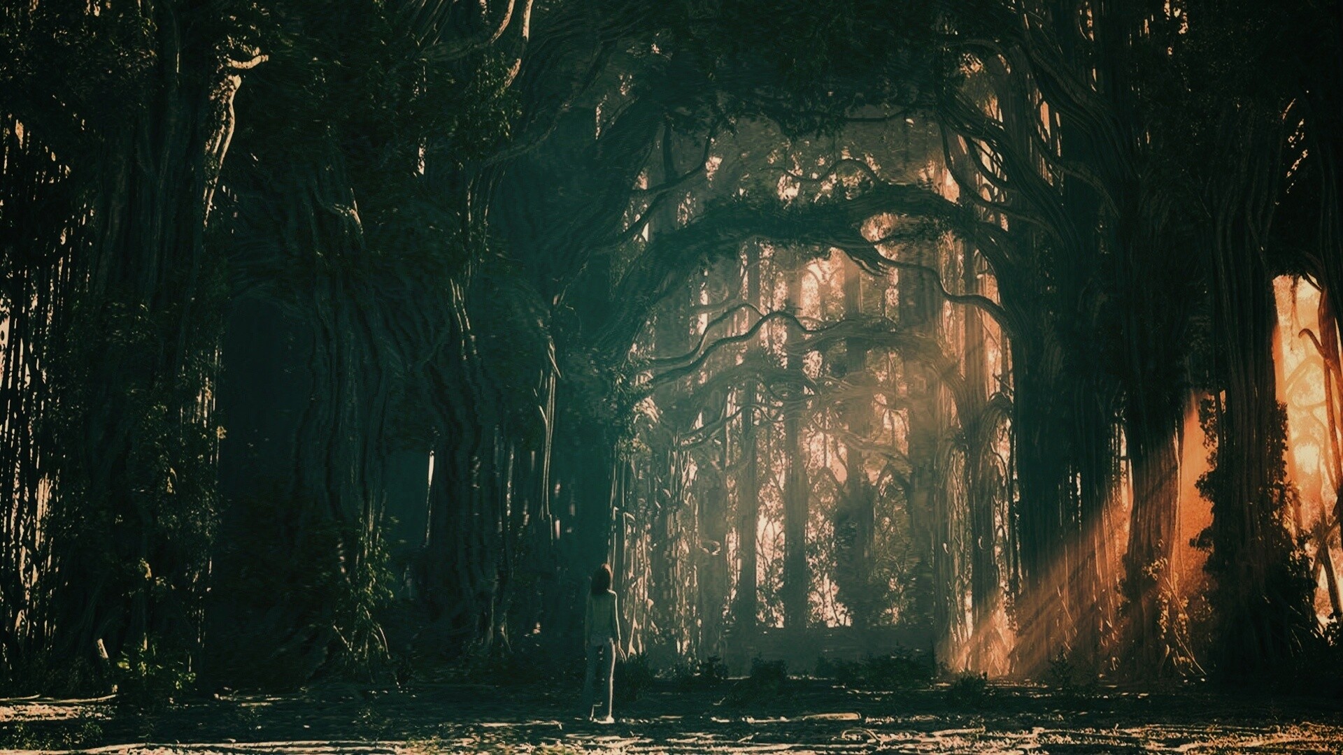 Одна в сумеречном лесу обои