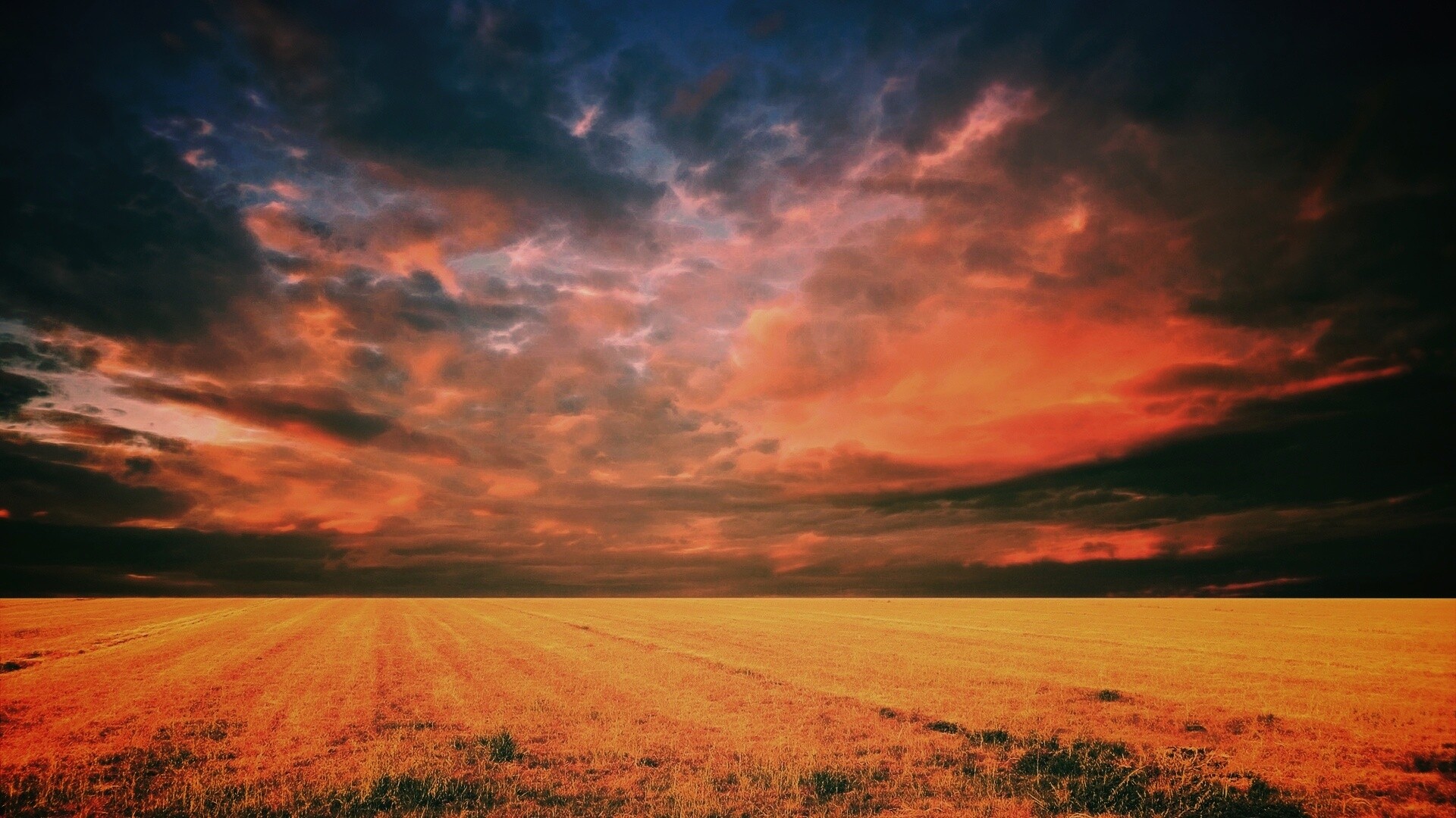 Тучи над желтым полем обои