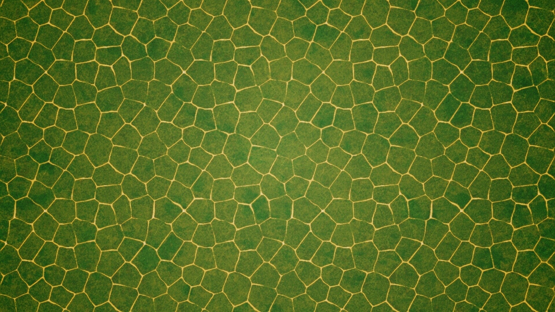 Зелёные сегменты обои