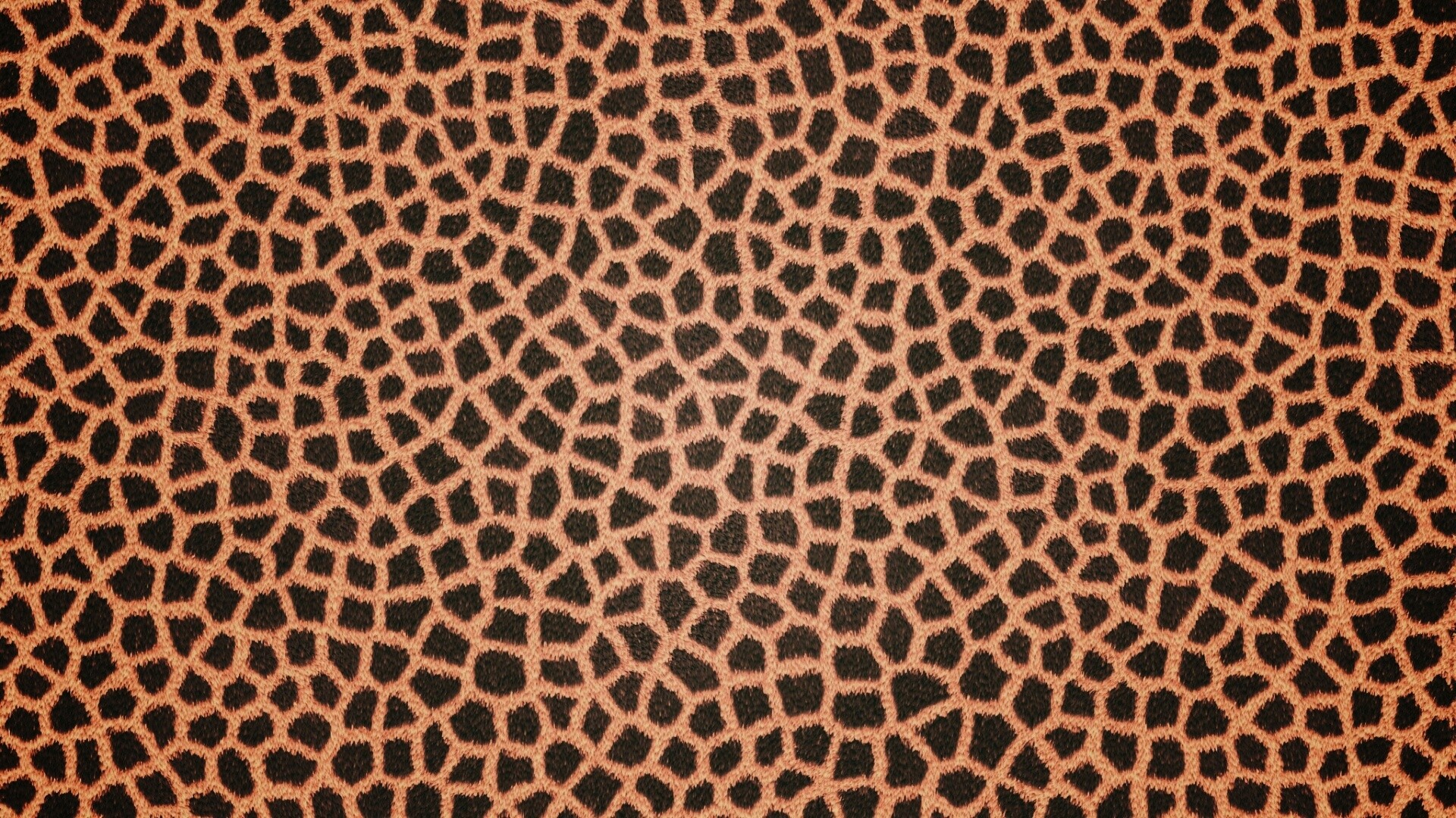 Текстура шкуры жирафа обои
