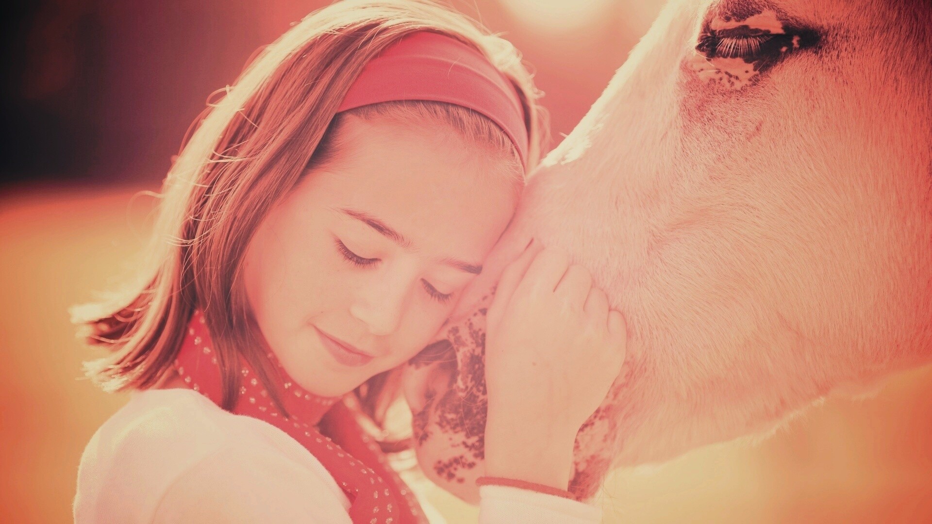 Девочка и лошадь обои