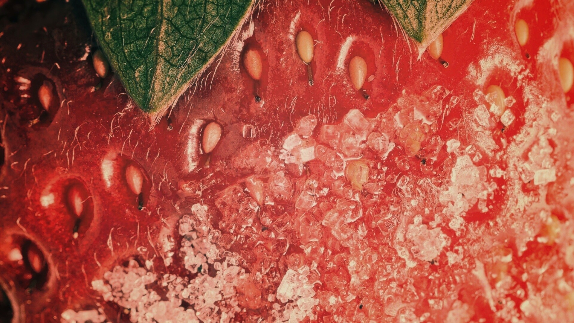 Клубника в сахаре обои