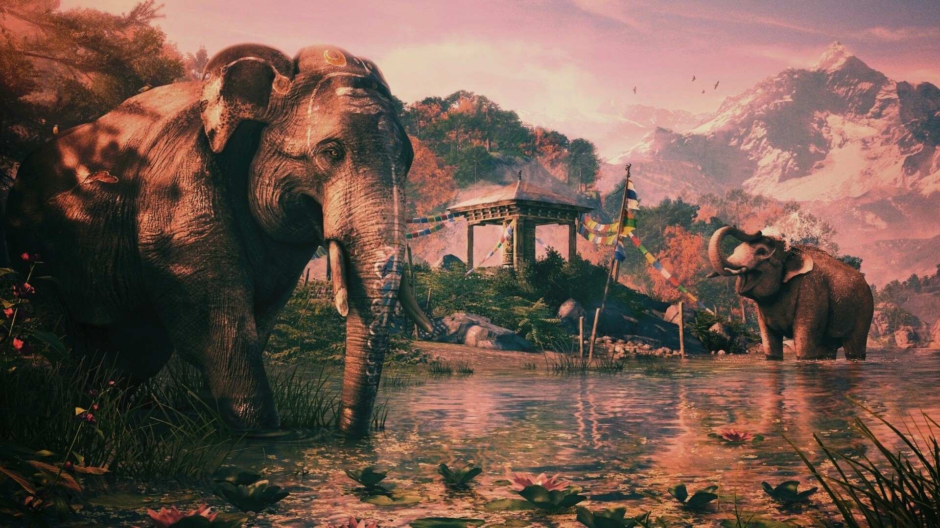 Слоники у воды обои