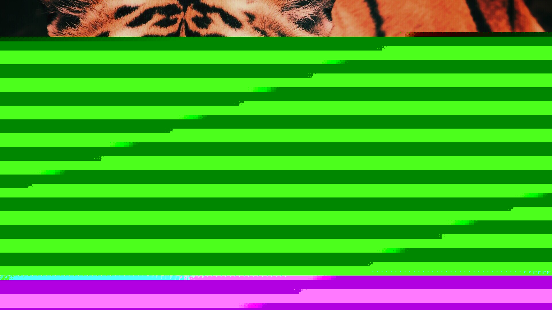 Купание тигра обои