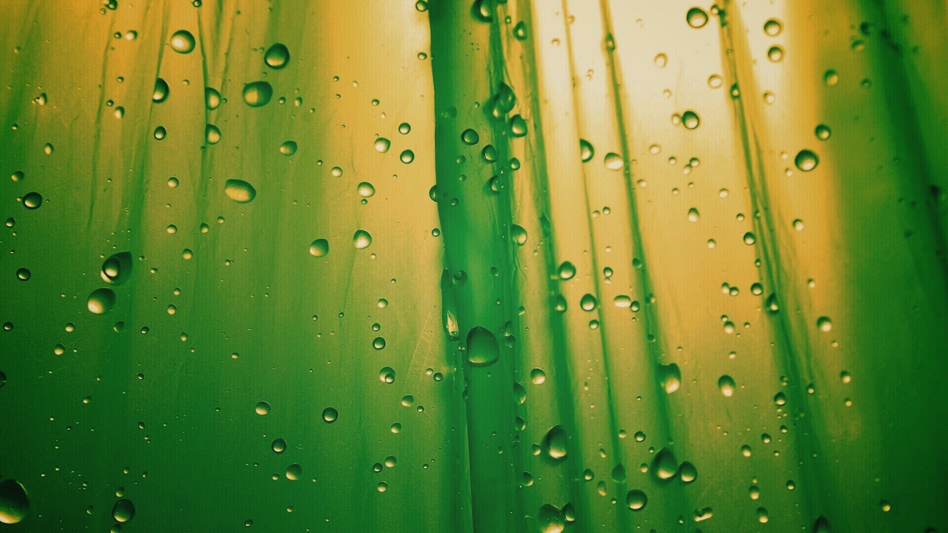 Капли на зеленом пластике обои