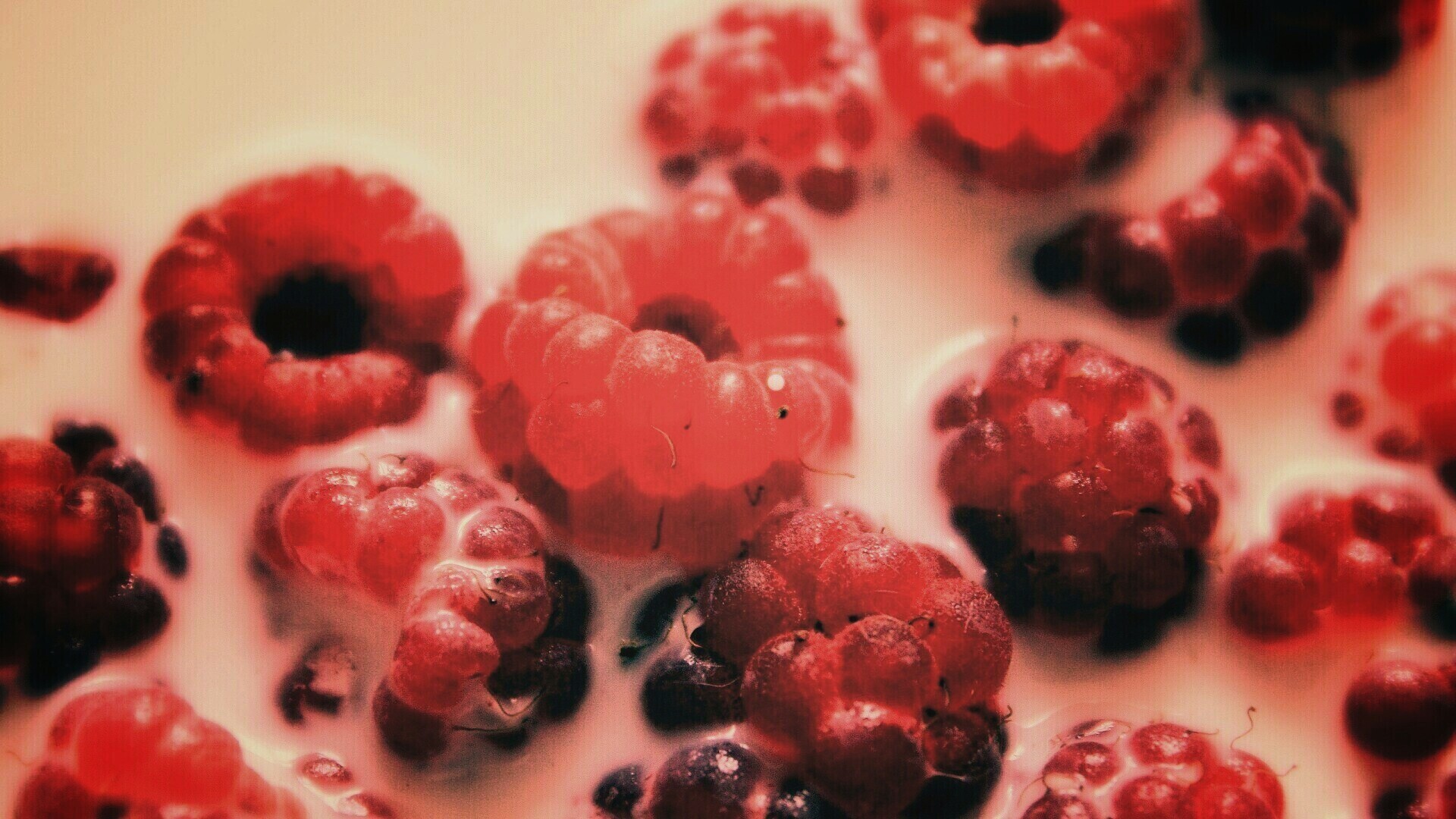 Малина в молоке обои