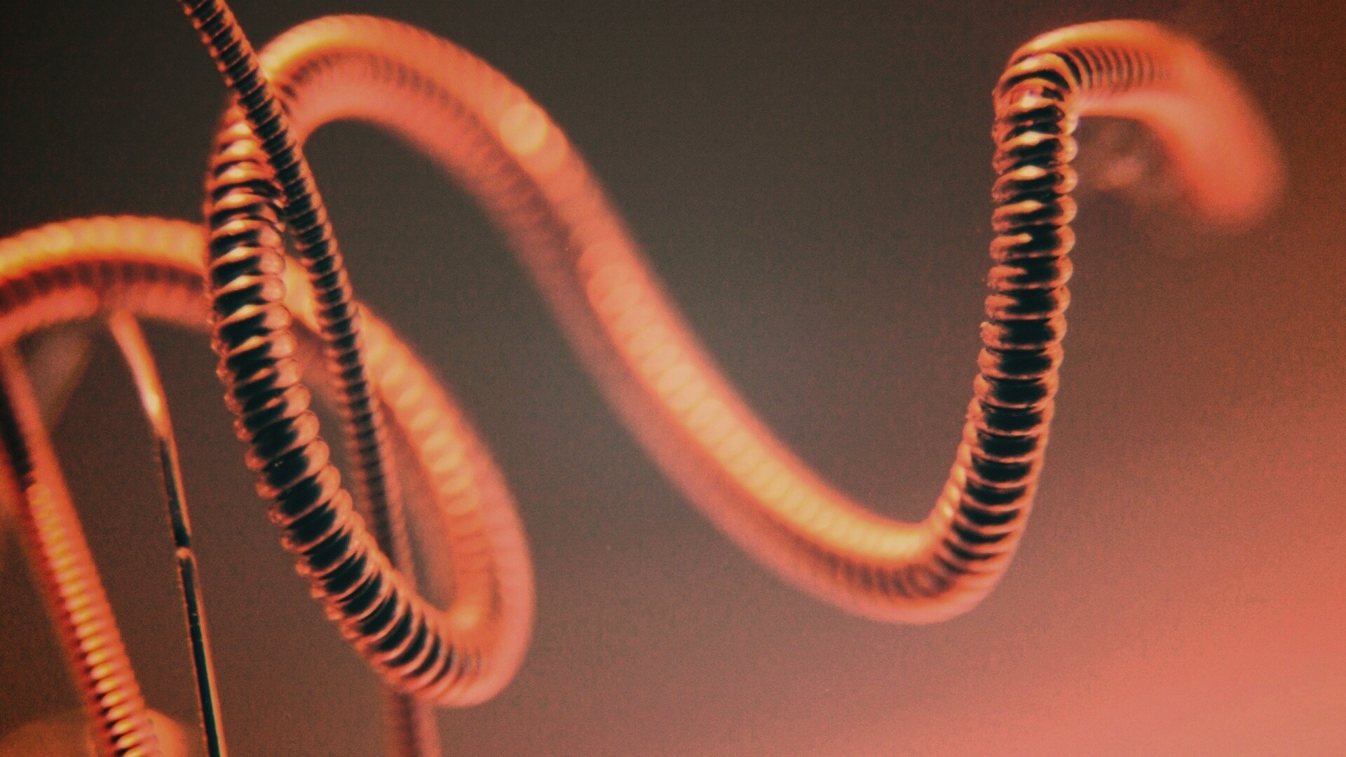 Пружина обои