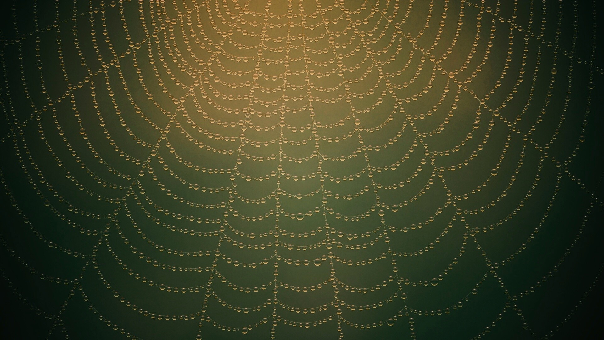 Роса на паутине обои