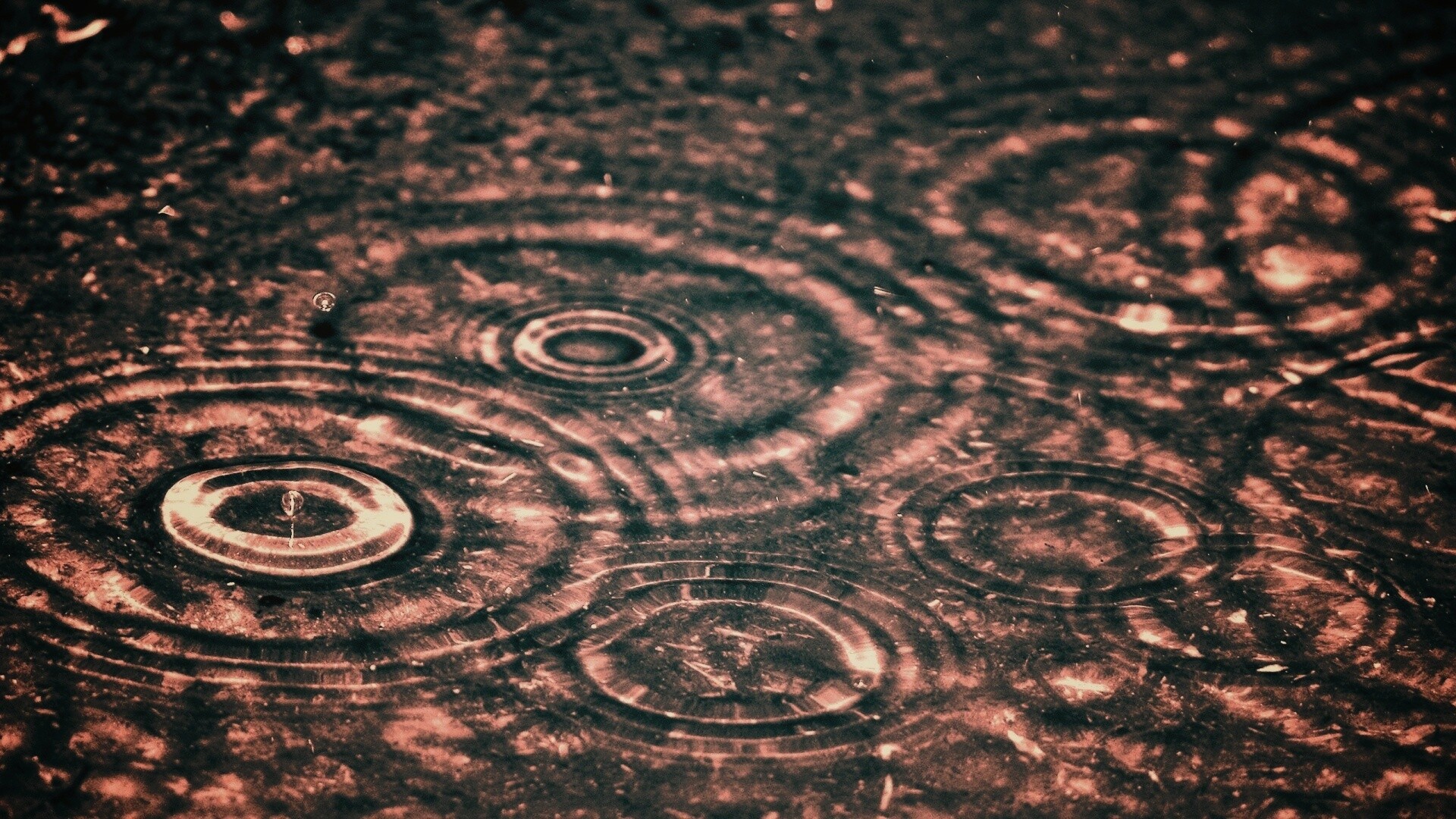 Круги на воде обои