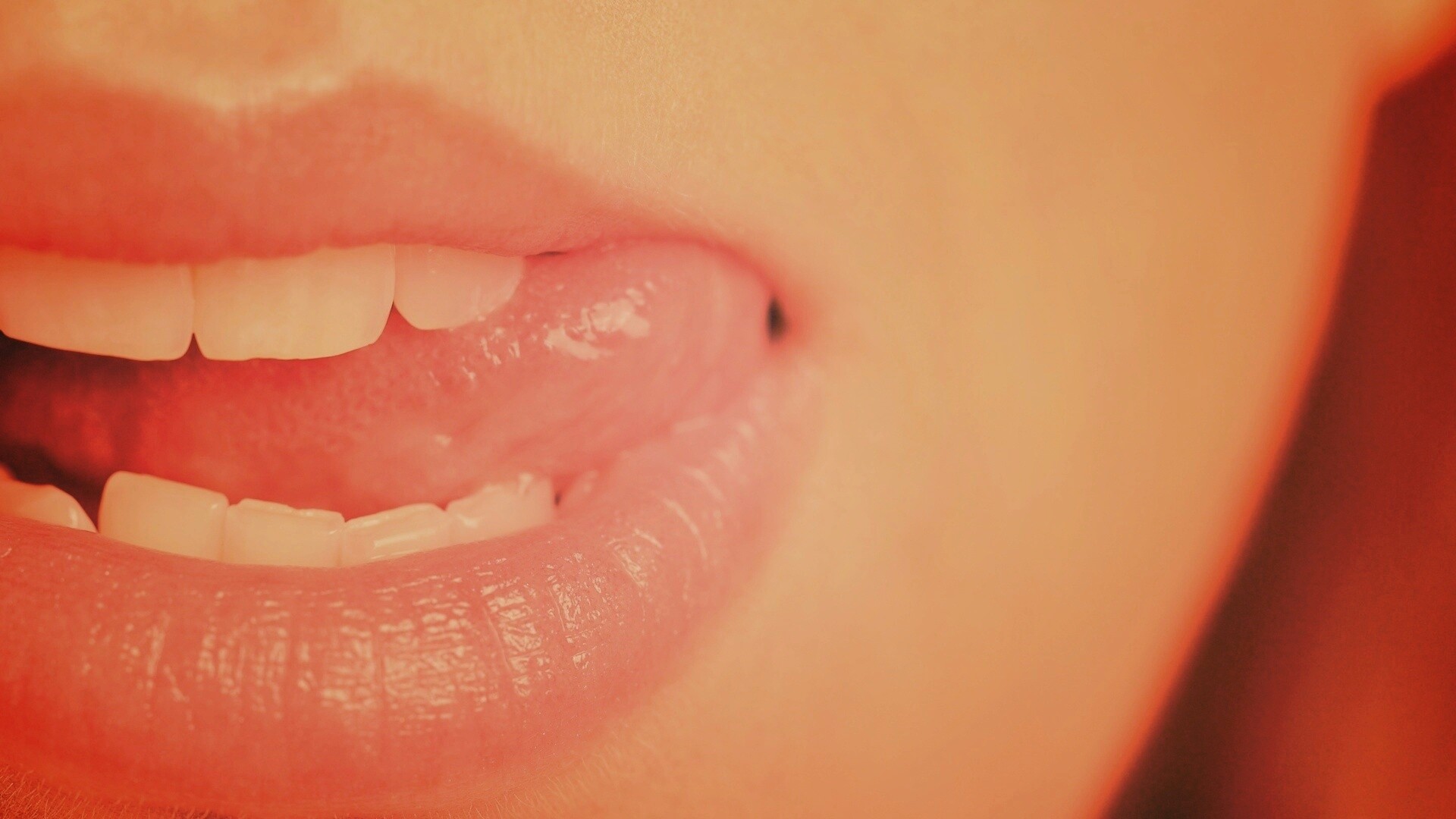 Сочные губки обои