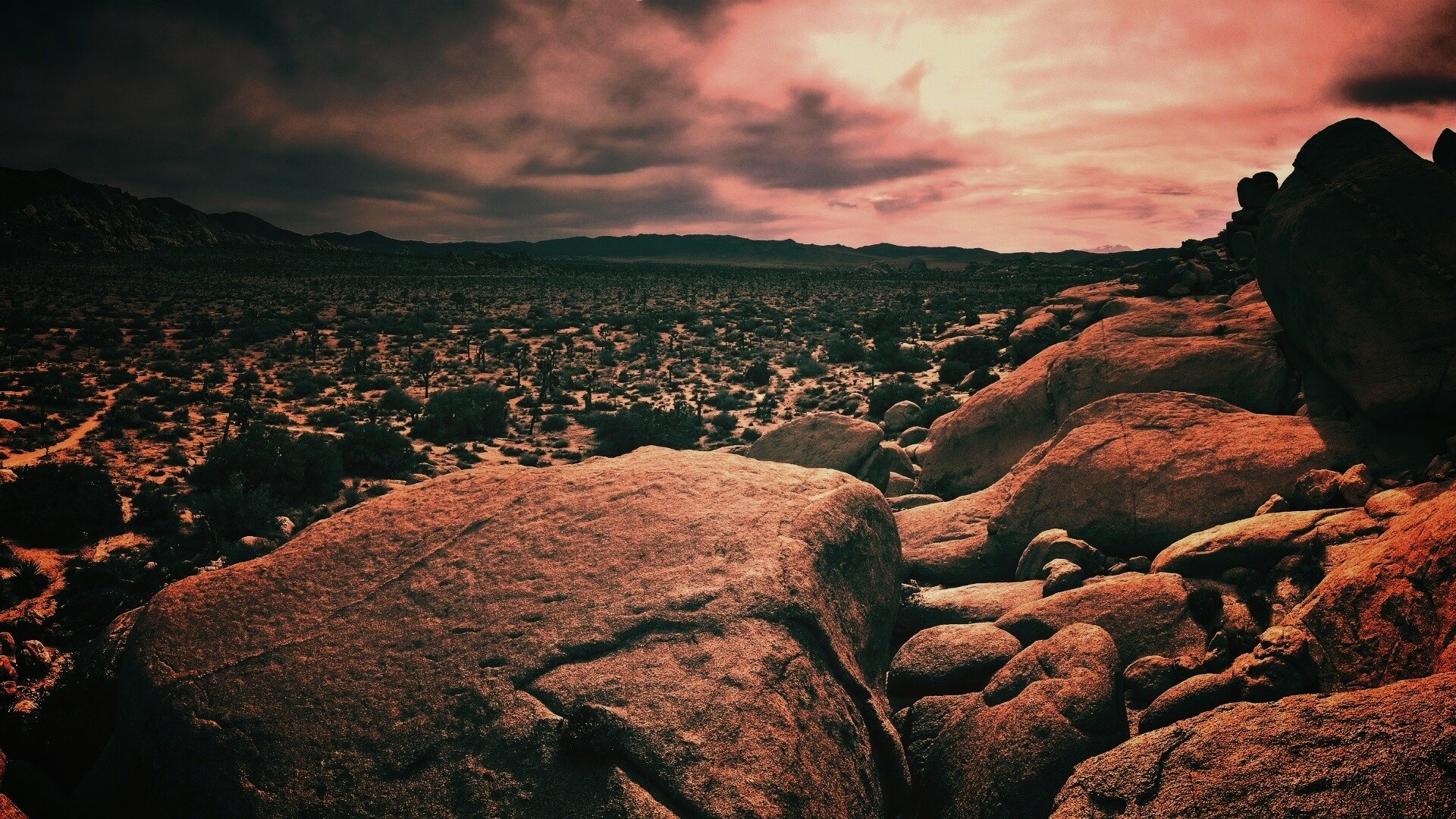 Пустыня Мохаве обои