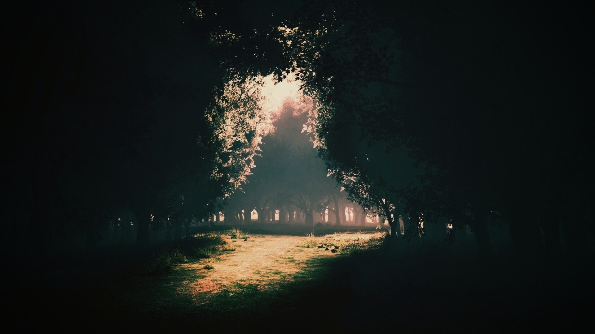 Сумерки в волшебном лесу обои