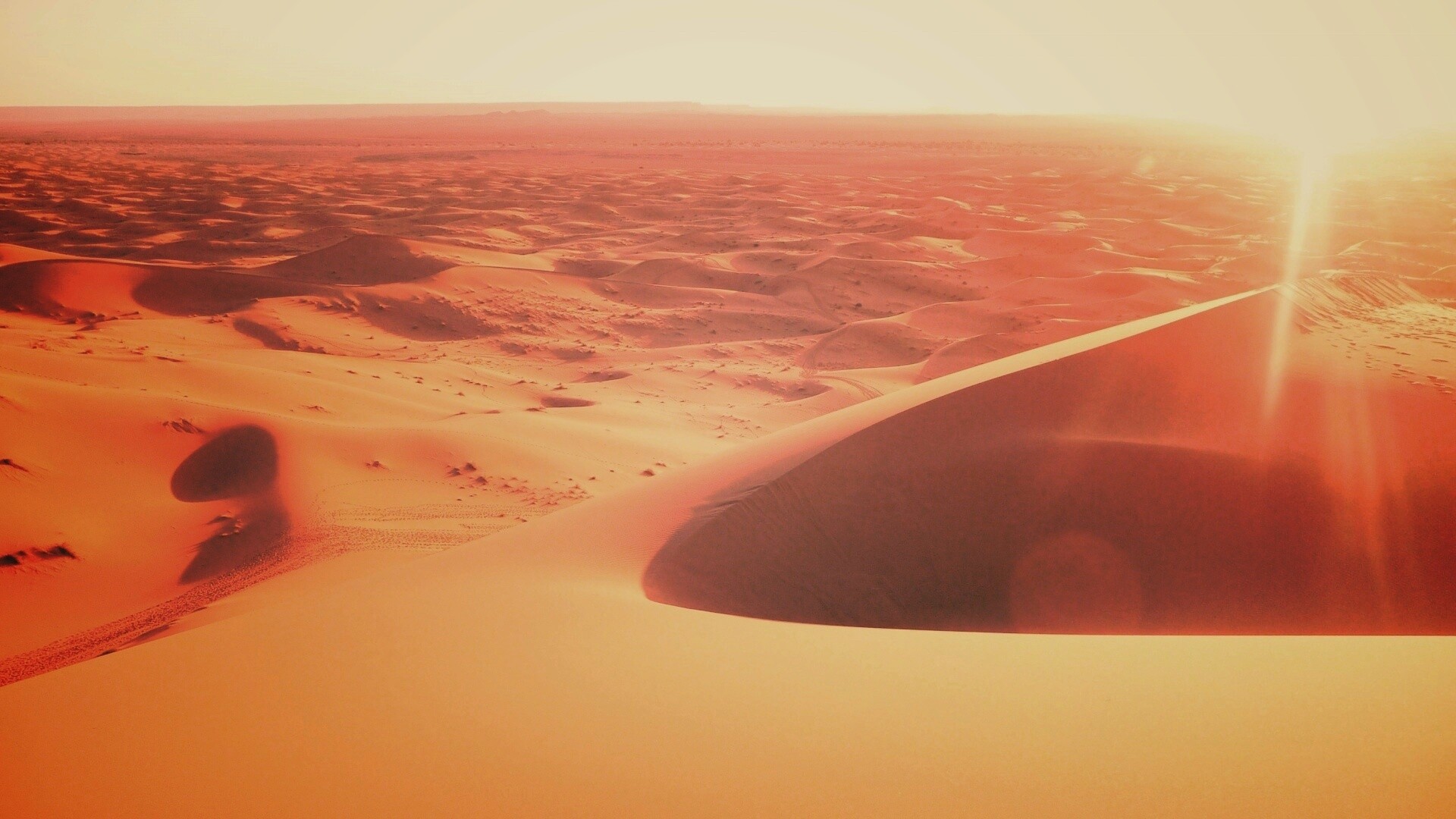Солнечная пустыня обои