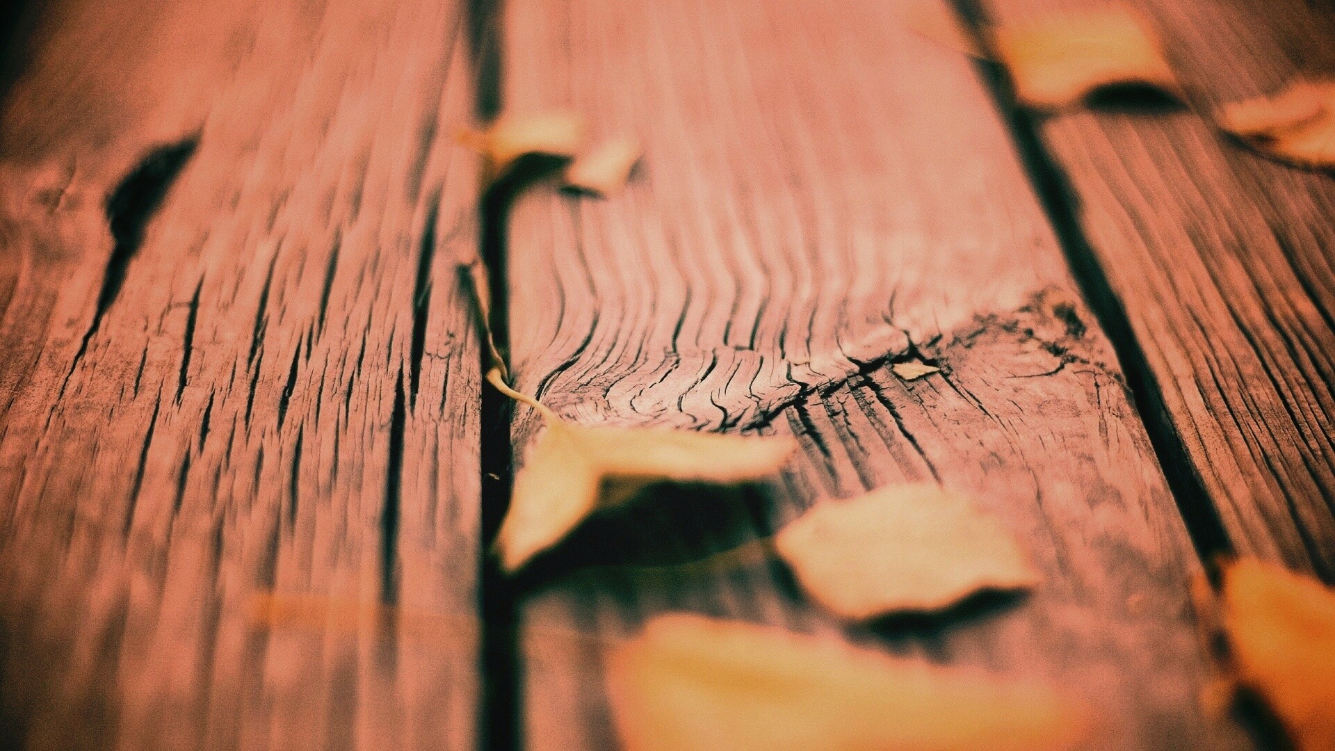 Листья на дощатом полу обои