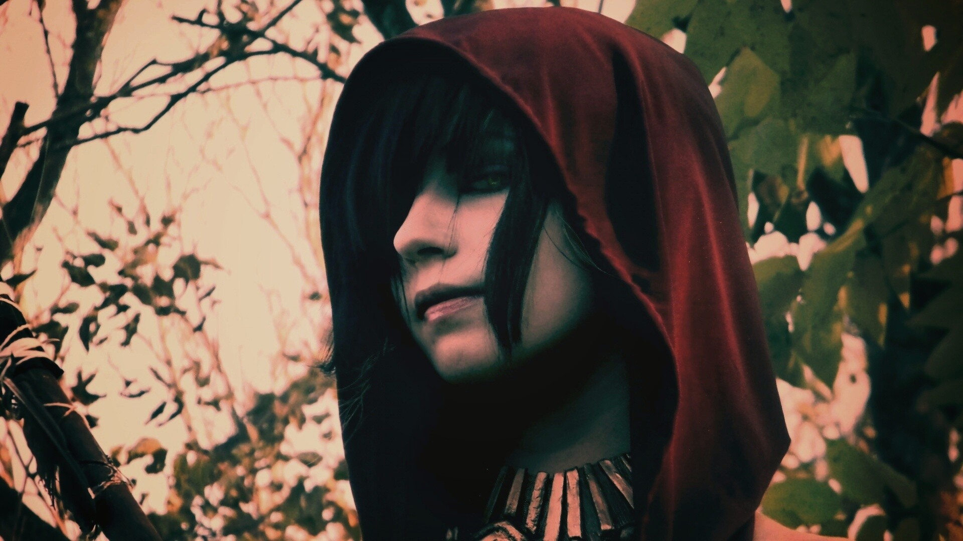 Косплей Морриган обои