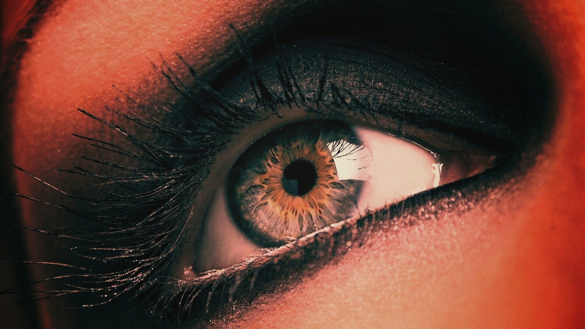 Оранжевый глаз обои