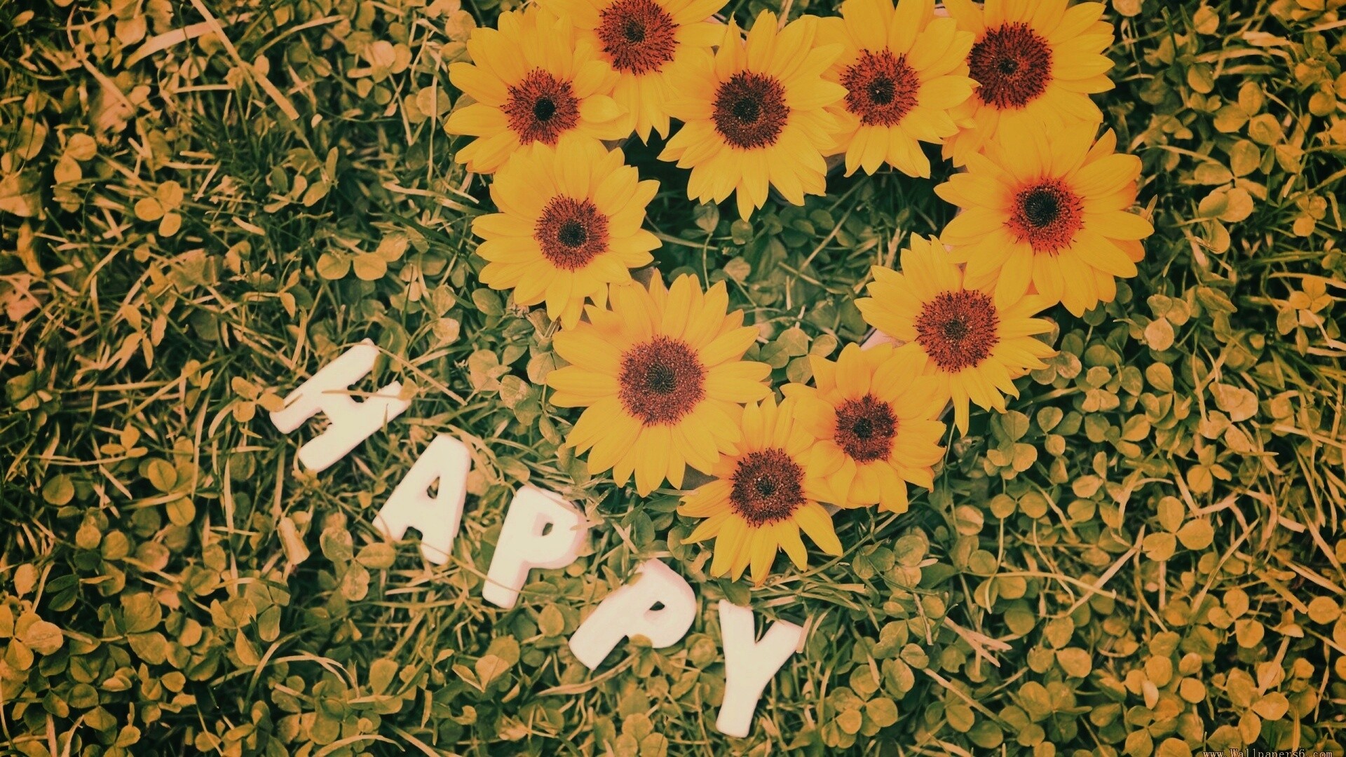 Радость обои